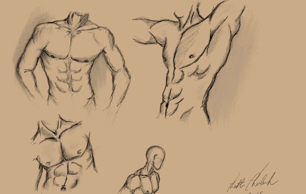 Male Torso
